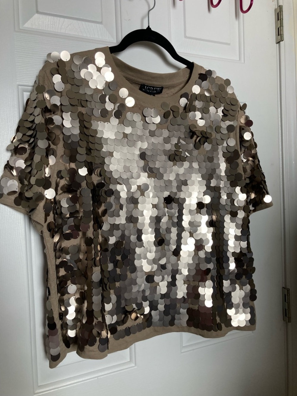 J. Crew Sequin-Embellished Top in Taupe and Silver